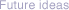 Future ideas
