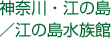 神奈川・江の島/江の島水族館
