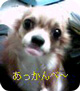 【写真】